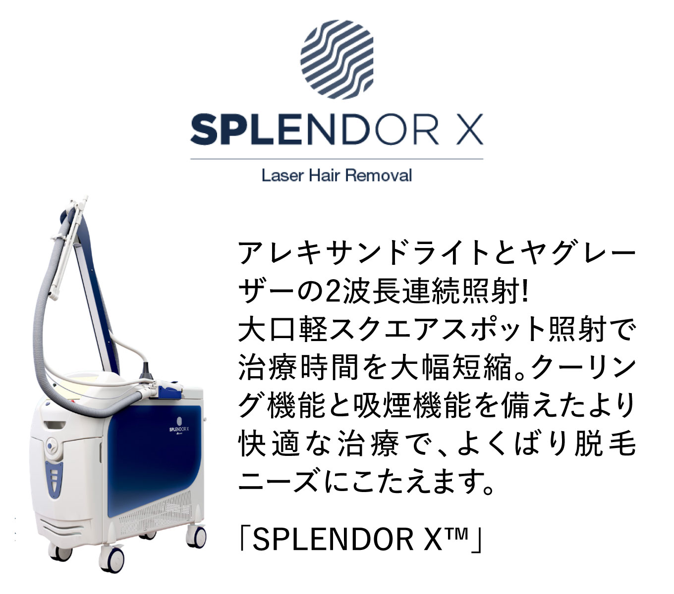 スプレンダーX（SPLENDOR X）